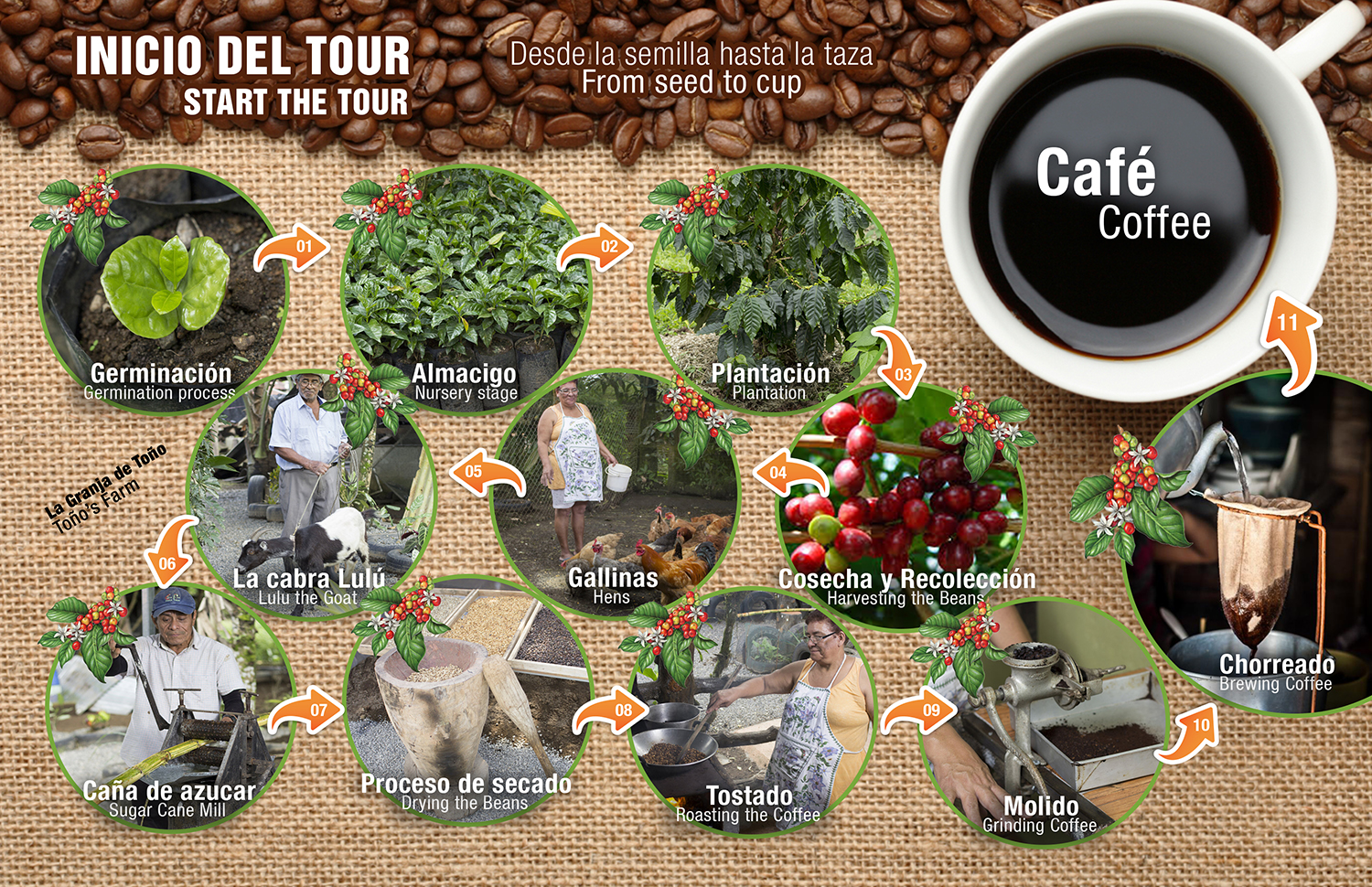 Coffee and chocolate tours